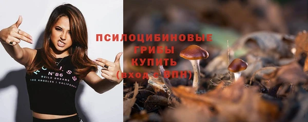 хмурый Нея