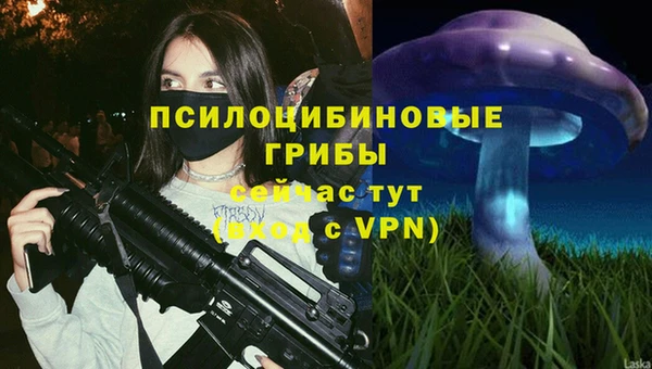 хмурый Нея