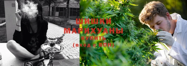 хмурый Нея
